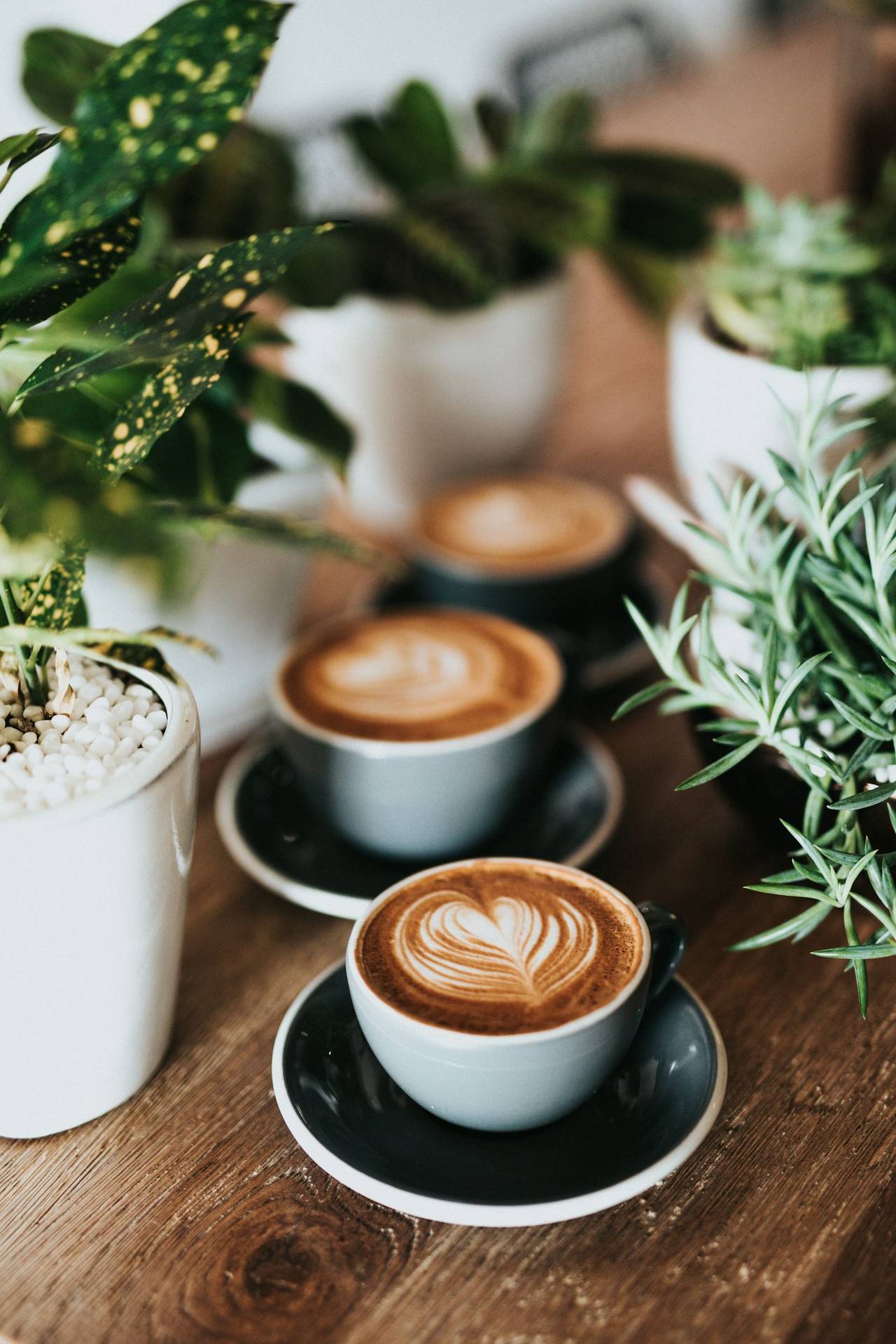 Flat whites on the counter